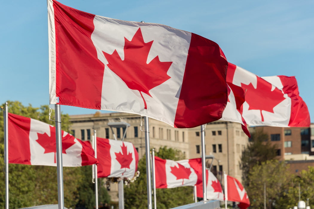 Canadian flags depicting the importance of CARM certification