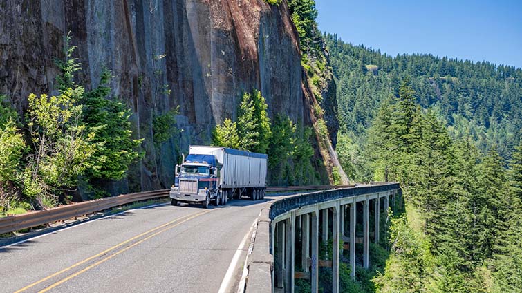 C.H. Robinson North American truckload freight market update